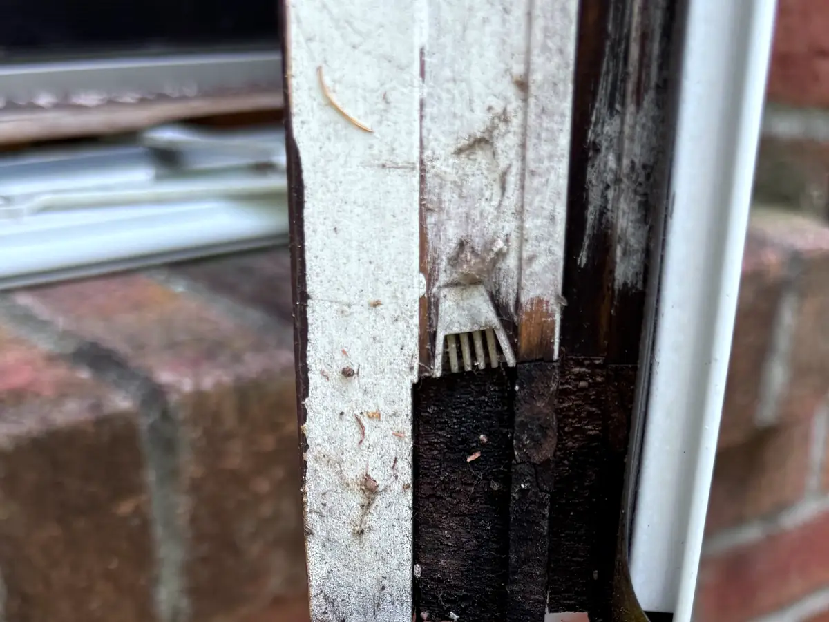 The rotted bottom of a wood casement sash above a brick sill