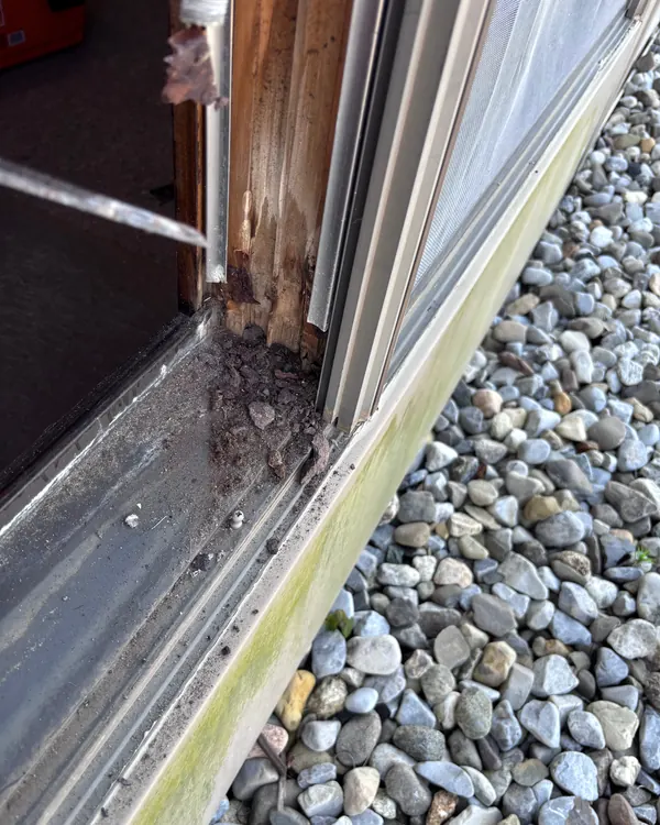 A rotted wood door jamb and debris on an exterior door sill