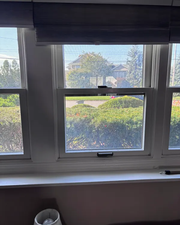 Three double hung windows looking out over a hedge