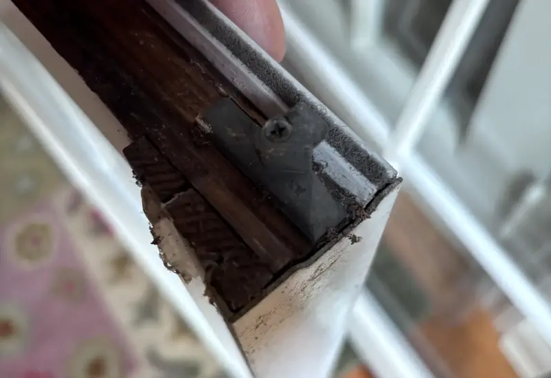 A rotted corner of a wood window sash held in a hand