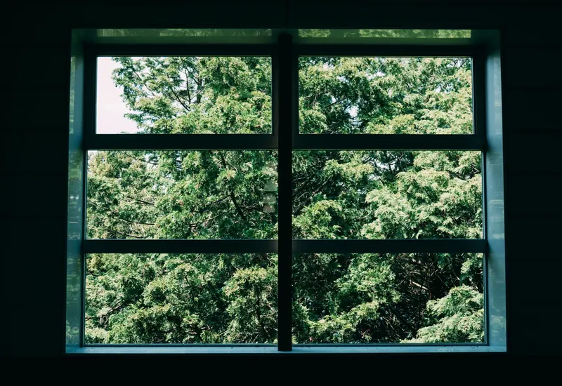 A large window with green tinted double pane glass looking out to trees