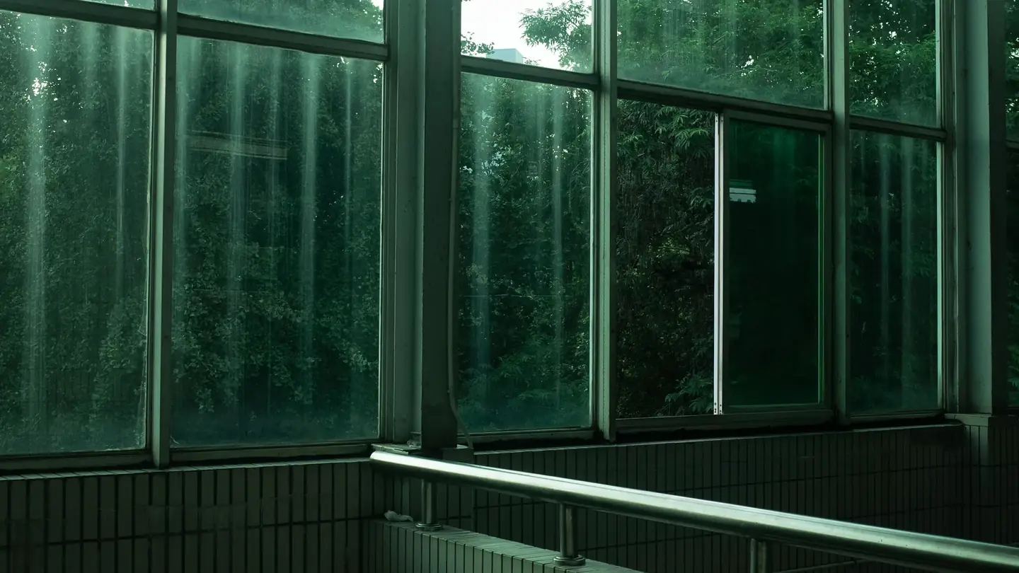 Tall double pane windows with a green tinted coating