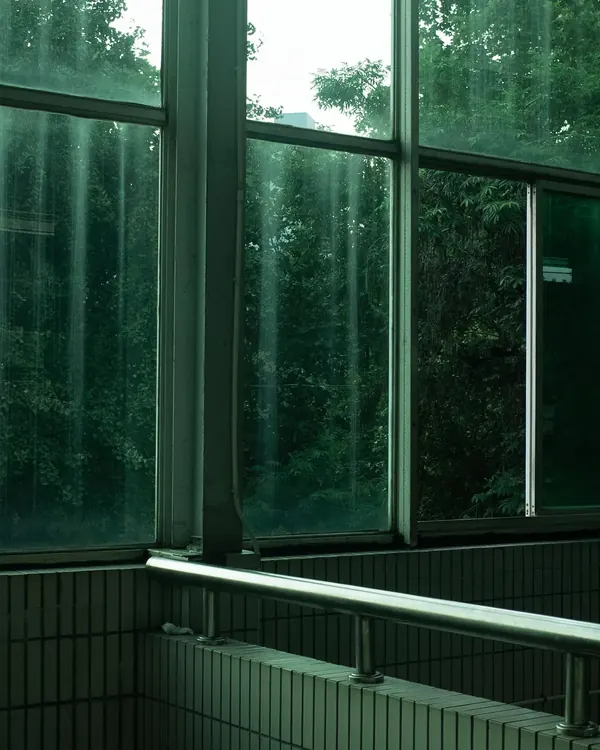 Tall double pane windows with a green tinted coating