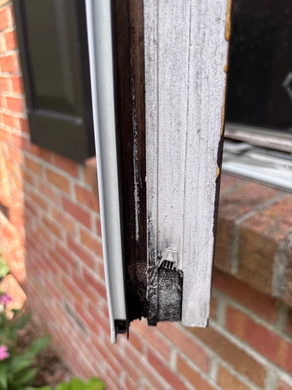 The rotted edge of a wood window sash beside a brick wall
