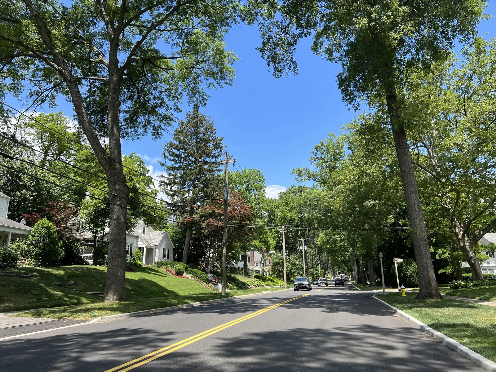 Tree-lined Manhasset Woods Road with houses set back on green lawns in Munsey Park, NY